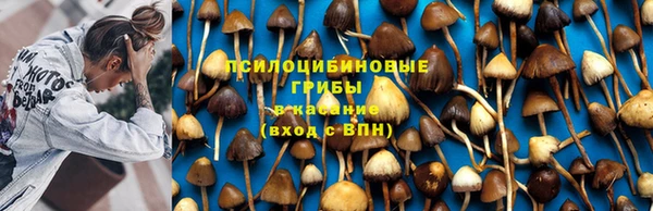 таблы Алзамай