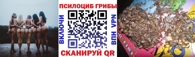 KRAKEN маркетплейс  купить закладку  Кола  Галлюциногенные грибы Psilocybe 